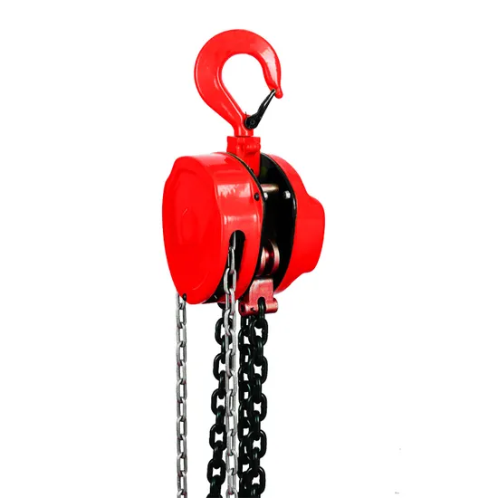 3 Ton Hand Lifting Chain Pulley Block with 3M Lift